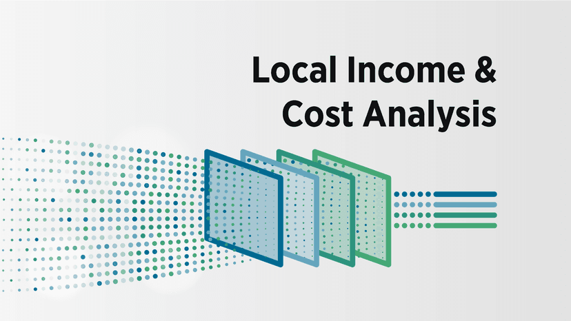 Understanding the Local Income and Cost Analysis Tool
